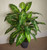 100cm Large Fox's Aglaonema Realistic Tree Artificial Plant with Copper Metal Planter