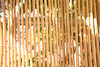 6 ft. H X 8 ft. L Peeled Willow Rolled Panel Fence