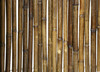 Caramel Brown Bamboo Fence ¾" D x 72" H X 96" L