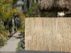 Peeled Reed Natural Fencing - 6ft. H x 16 ft. L (2 Pack, Total 32FT Long)
