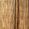 Peeled Reed Coffee Fencing - 6ft. H x 16 ft. L (2 Pack,  total Length 32ft.)