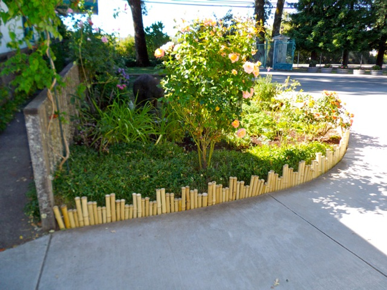 Natural Bamboo Border Edging 1.25