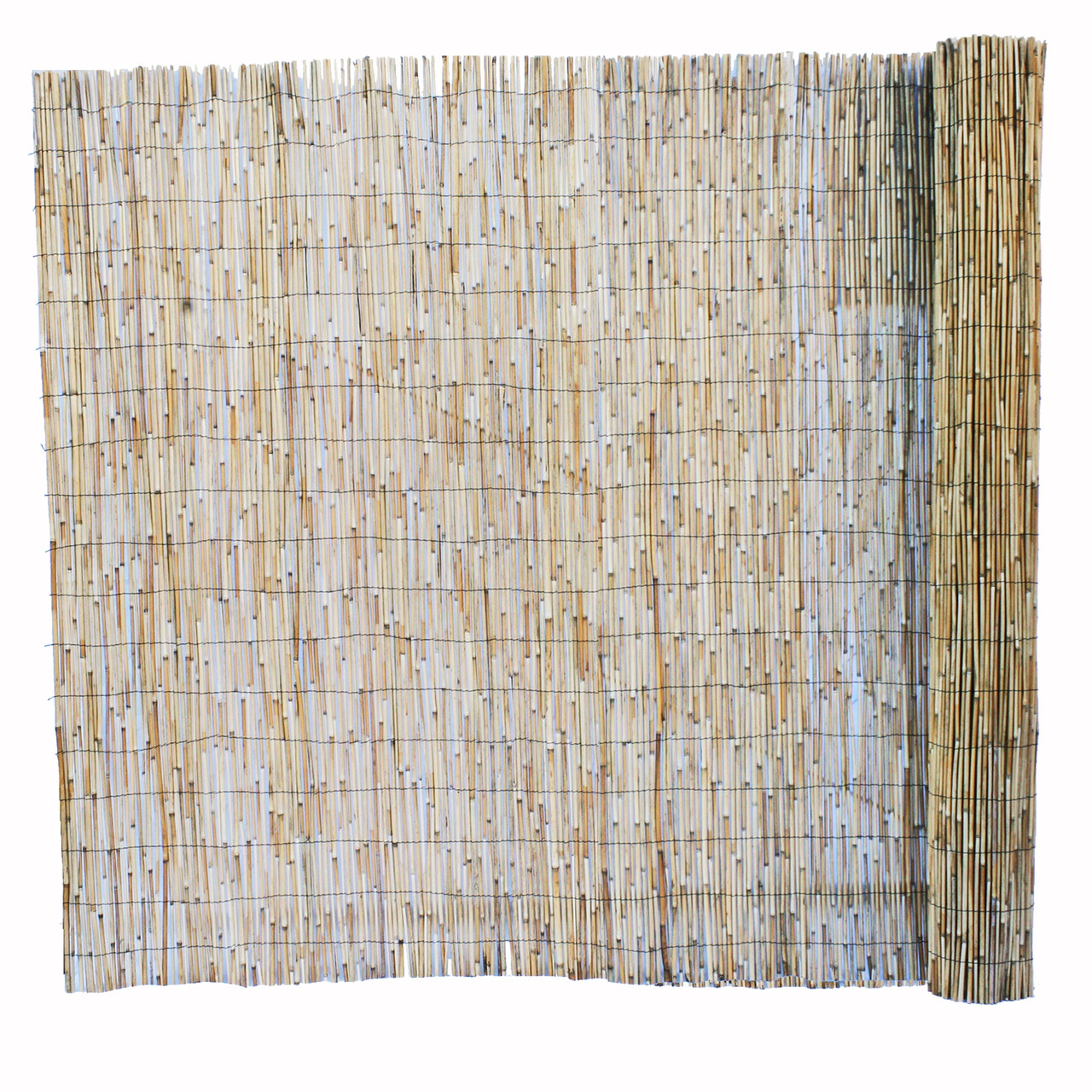 Jumbo Reed Bamboo Fence - Thumbnail 4