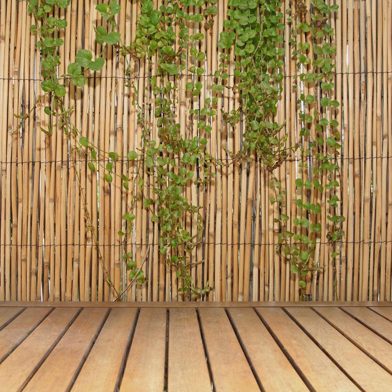 Bamboo Garden Fence | lupon.gov.ph