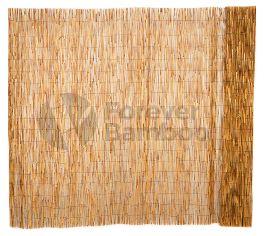 Peeled Reed Coffee Fencing - 6ft. H x 16 ft. L (2 Pack,  total Length 32ft.)