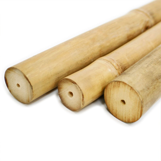 Bamboo: 3 Diameter