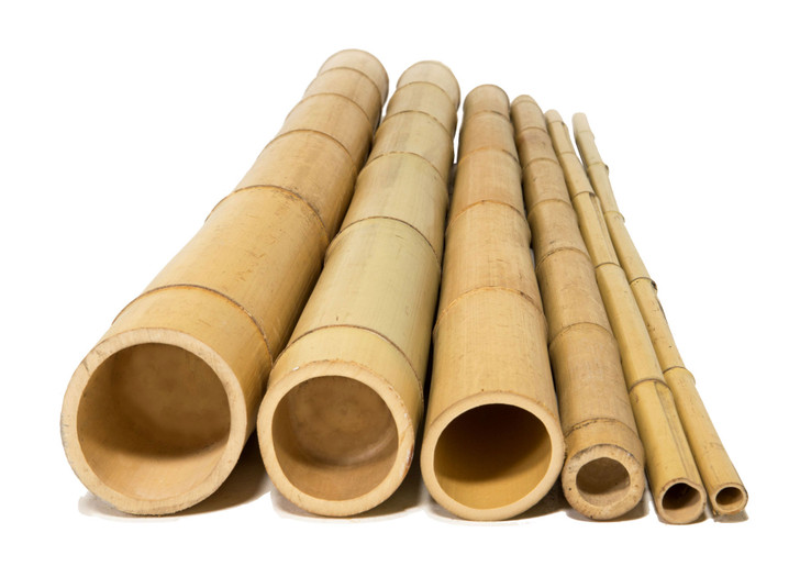 2" D x 90" L Bamboo Poles Natural (6 Poles)