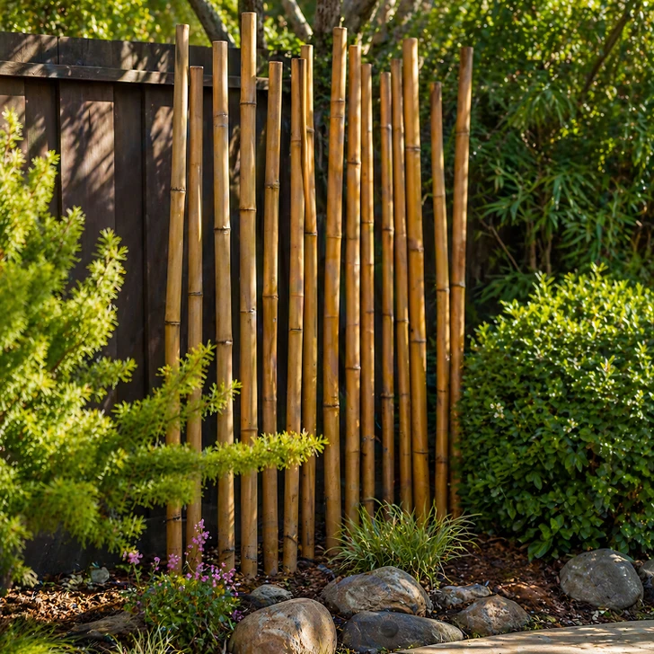 1" D x 90" L Bamboo Poles Carbonized (15 Poles)