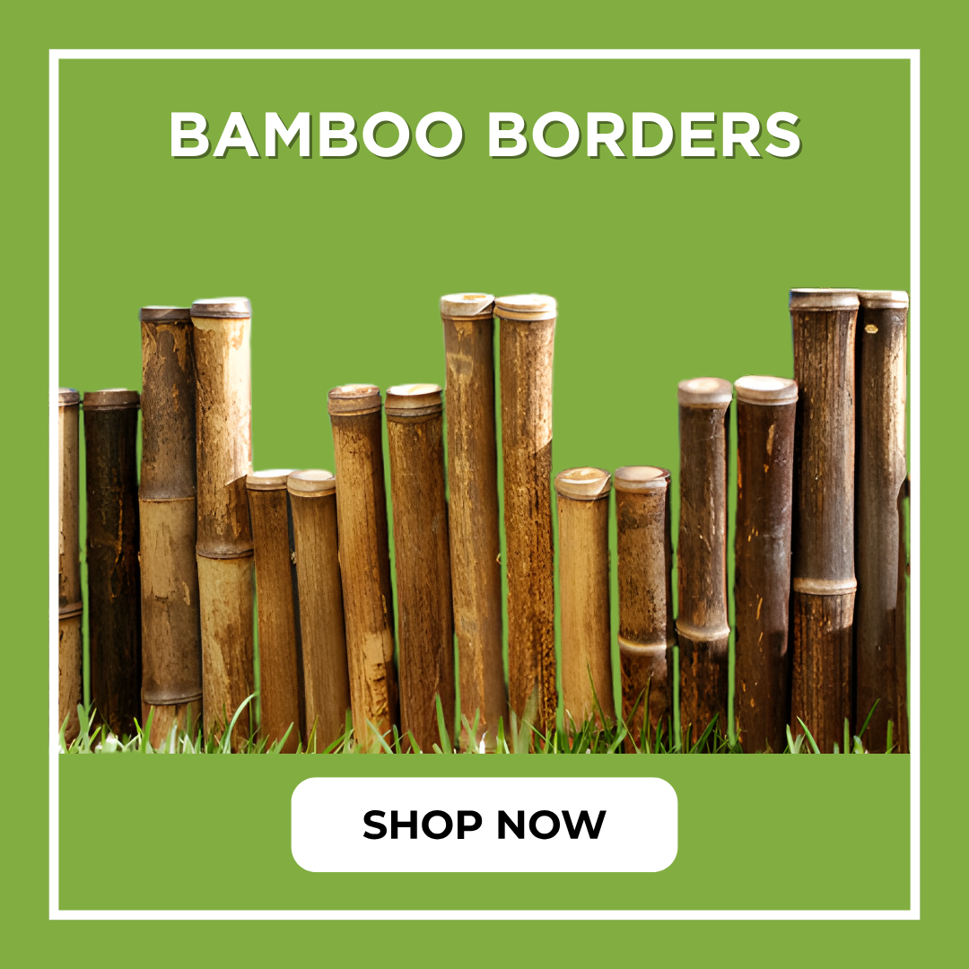 bamboo-borders-category-thumb.jpg
