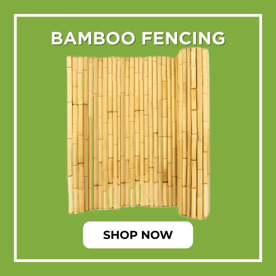 bamboo-fencing-category-thumb.jpg