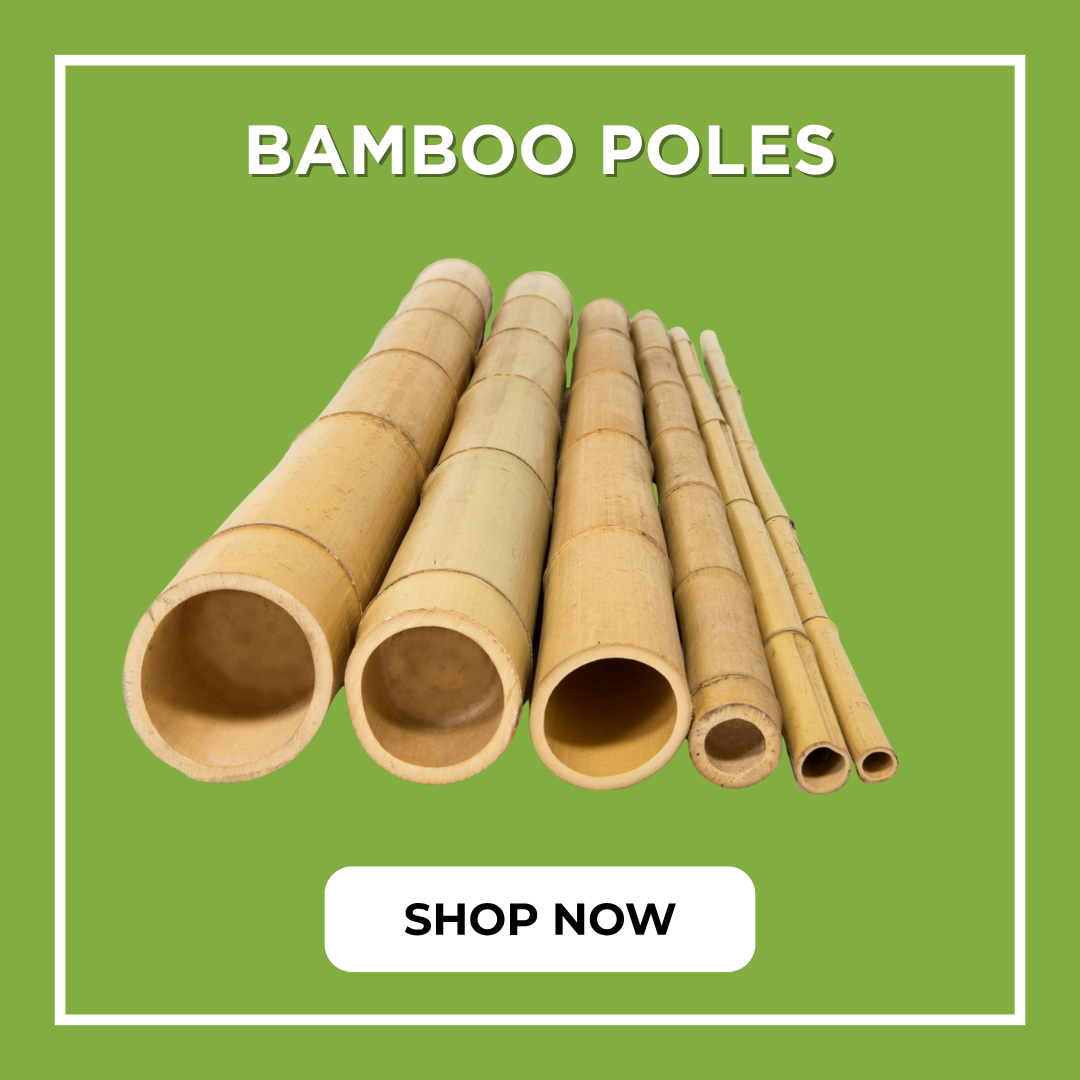 bamboo-poles-category-thumb-v2.jpg