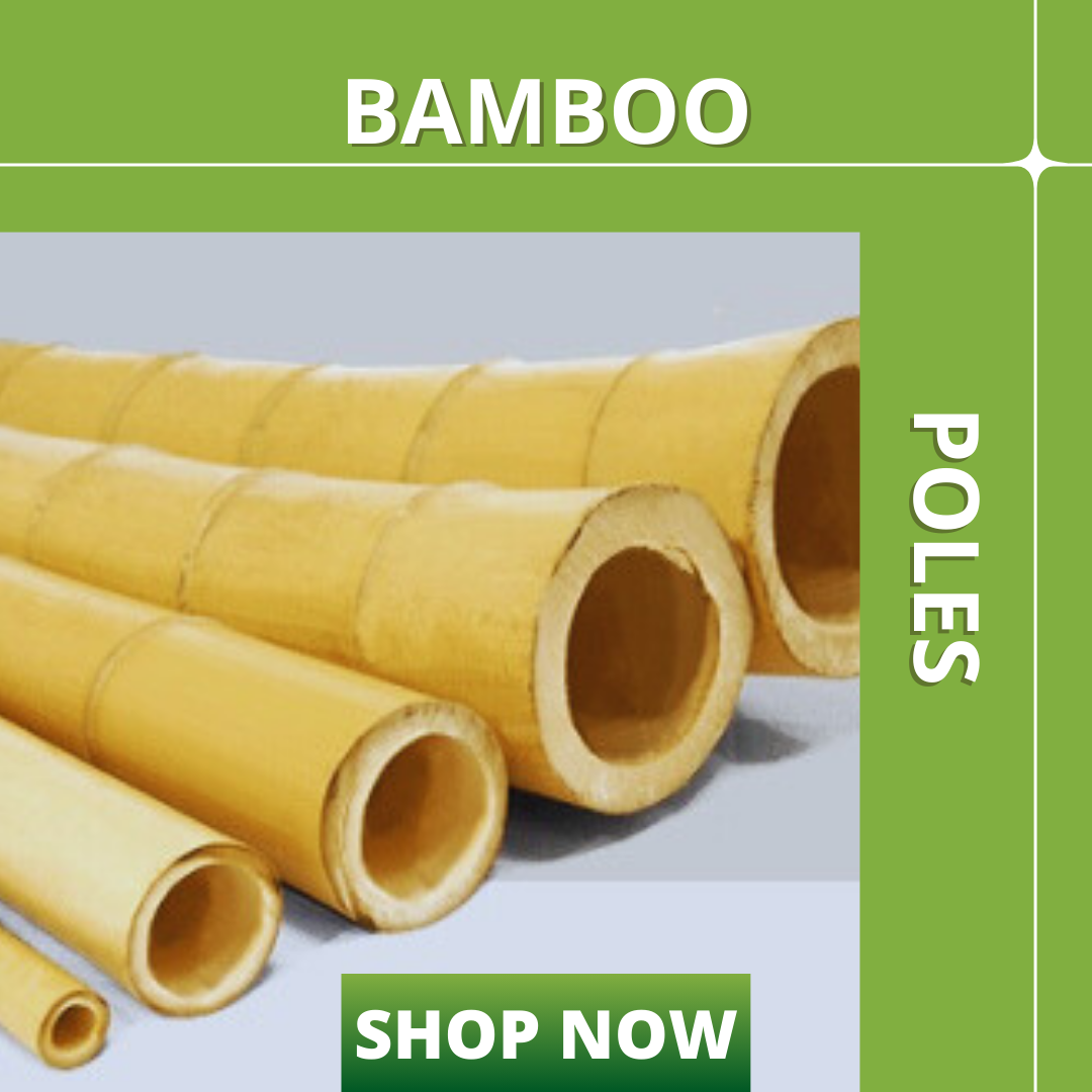 bamboo-poles-category-thumb-v2.jpg bamboo-poles-category-thumb-v2.jpg
