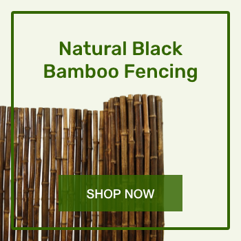 02-natural-black-bamboo.png