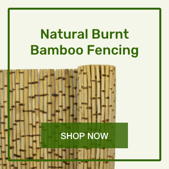 03-natural-burnt-bamboo.png