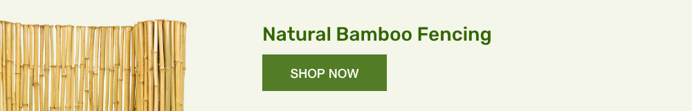 07-natural-bamboo-fencing-long.png 07-natural-bamboo-fencing-long.png
