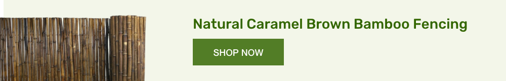 09-natural-caramel-brown-bamboo-fencing-long.png 09-natural-caramel-brown-bamboo-fencing-long.png