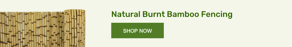 10-natural-burnt-bamboo-fencing-long.png 10-natural-burnt-bamboo-fencing-long.png