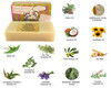 Beauty and the Bees Georgie's Gloss Shampoo Bar  For Pets All Natural