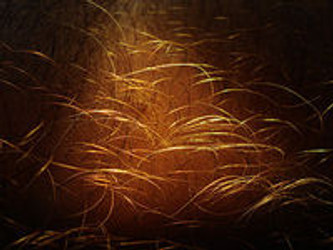 CYPROTERONE ACETATE AS A HAIR LOSS TREATMENT FOR FEMALE PATTERN BALDNESS