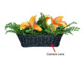 Fern WiFi HD Hidden Camera