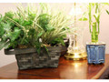 Xtreme Life 4K Plant Hidden Camera