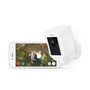 Ring Spotlight Camera