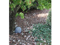 Xtreme Life 4K Rock Hidden Camera DVR w/Bonus Battery