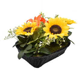 Fern WiFi HD Hidden Camera