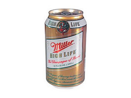 Beer Diversion Safe