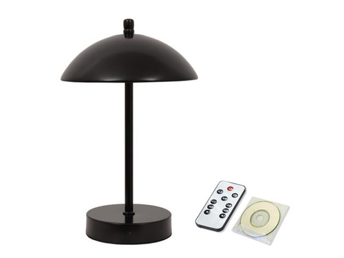 Hidden Camera Lamp with DVR (Color)