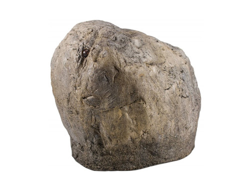 Landscape Stone Hidden Camera by Xtreme Life