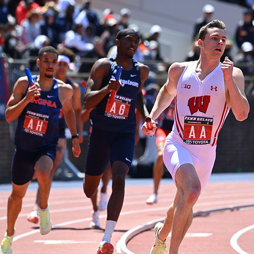 Track Curbing & Gates