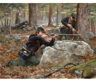 Now Available The Incomparable Art of Don Troiani 