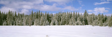 Images Of The Land ShelfScapes #1221 European Winter 10" x 30" Scenic Backdrop