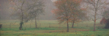 Images Of The Land® ShelfScapes #1345 Foggy Morning 10" x 30" Scenic Backdrop