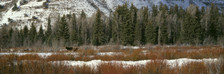 ShelfScapes #1289 Winter Scene 10" x 30" Scenic Backdrop