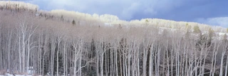 ShelfScapes Diorama Backdrop #3434 Winter Out West 10" x 30" Backdrop