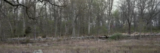 ShelfScapes 3137 Plum Run II Gettysburg Museum Quality Backdrop Diorama 10" x 30"