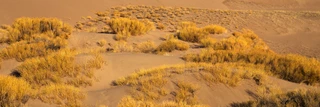 ShelfScapes 2186 Desert Terrain Diorama Backdrop 10" x 30"