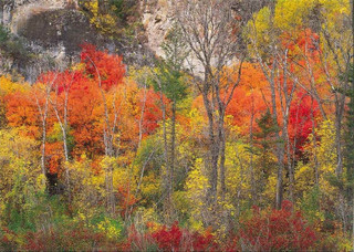 10 Original Photographic Art Note Cards With Envelopes Logan Canyon Utah