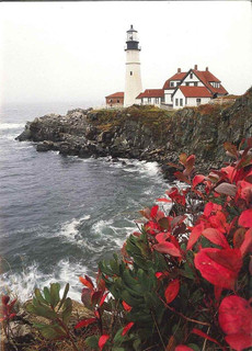 10 Original Photographic Art Note Cards With Envelopes Portland Head Light