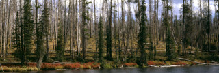 Images Of The Land® ShelfScapes #592 Waterfront 10" x 30" Backdrop