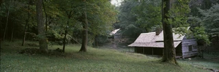 Images of the Land ShelfScapes 1736 Cabin In The Woods 10" x 30" Museum Quality Backdrop