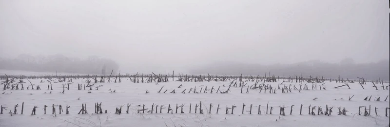 Images Of The Land ShelfScapes 2022 Winter Battlefield 10" x 30" Backdrop