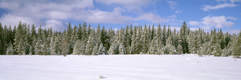 Images Of The Land ShelfScapes #1221 European Winter 10" x 30" Scenic Backdrop