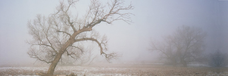 Images Of The Land® ShelfScapes #812 Foggy Winter Morn 10" x 30" Scenic Backdrop