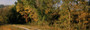 Images Of The Land® ShelfScapes #1107 Forest & Road 10" x 30" Backdrop