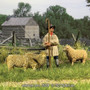 WBritain Toy Soldiers and Figures Shepherd With Three Sheep 35007