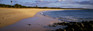 Images Of The Land ShelfScapes 1133 Beach 10" x 30" Backdrop