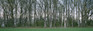 Images Of The Land® ShelfScapes #2218x Picketts Charge Battle of Gettysburg 10" x 30" Backdrop